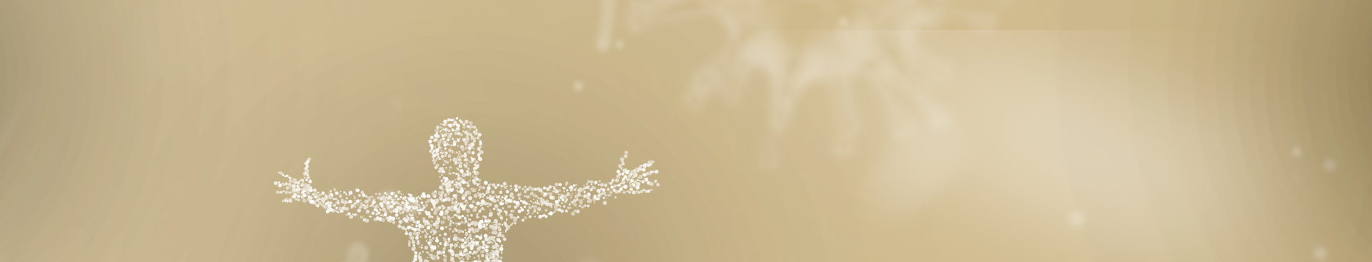 banner_p_02